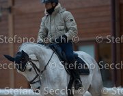 Berlin Tosc Tour2013- S5 1818 : Arezzo, Berlin, Cavalli d'Italia, Toscana Tour 2013, foto di Stefano Secchi ©